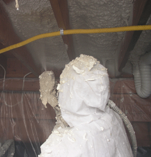 Downey CA crawl space insulation